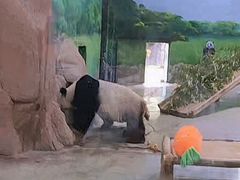 -临沂动植物园