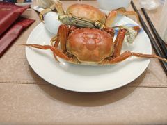 -天天鱼港·海鲜·鲅鱼水饺·招牌烤鸭(黄骅店)