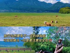 -南诏风情岛
