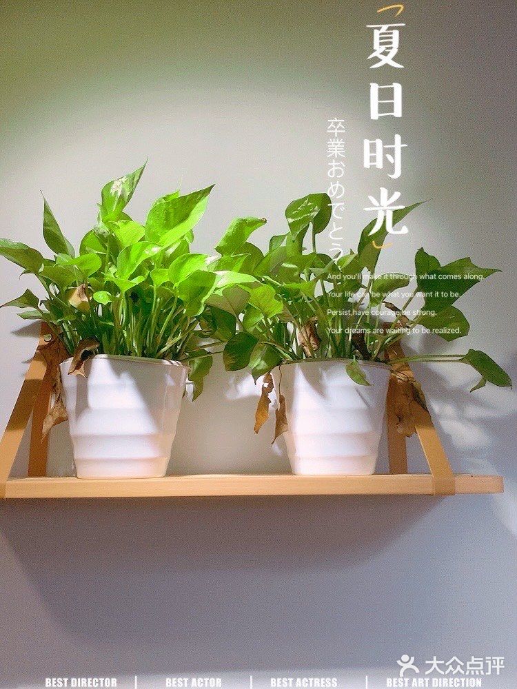 喜欢酸菜鱼,来这家吃不会错。