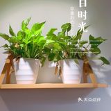 喜欢酸菜鱼,来这家吃不会错。