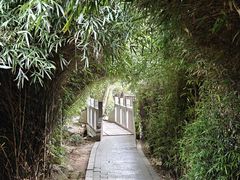 -八大山人梅湖景区