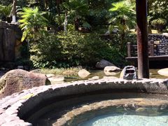 -明月山天沐温泉度假村