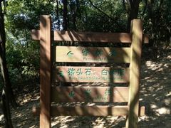 -火炉山森林公园