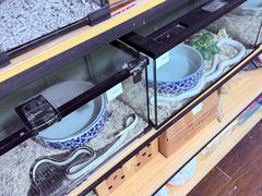 -苏州市皮市街花鸟工艺品市场