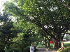 -广州雕塑公园