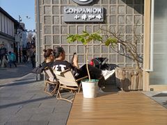 -COMPANION COFFEE小伴咖啡