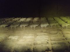 -汉景帝阳陵博物院