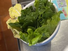 -探窝·竹笙椰子鸡(杨箕店)