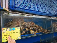 -蚝专家(北滘店)