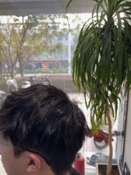 -丝源发型