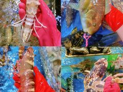 -四川小胡子海鲜(丁村万人海鲜广场店)