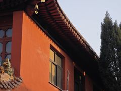 -柏林禅寺