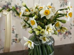 -溪岸路花鸟市场