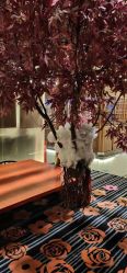 -盘子女人坊生日照·摄影馆(浦东店)