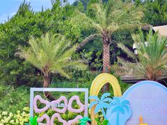 -武汉木兰草原风景区