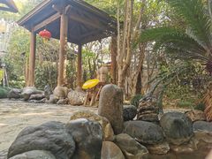 -张家港金凤凰度假村温泉