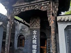 -大槐树寻根祭祖园