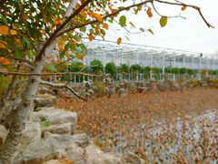 -南通洲际绿博园