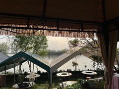 -三岔湖高家庄农家乐烤全羊柴火鸡翘壳鱼(三岔湖店)