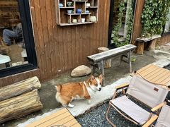 -陶野咖啡·面包披萨