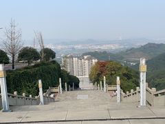 -铁山坪森林公园