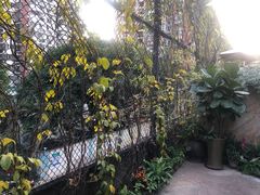 -肴约·花园式餐厅(湖里店)