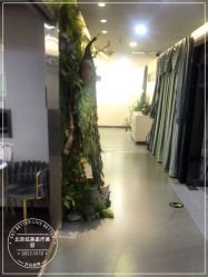 -北京炫美医疗美容