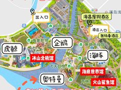 -上海海昌海洋公园