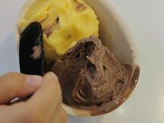-极拉图·现制冰淇淋(大卫城店)