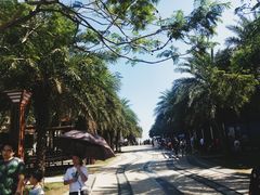 -马銮湾景区