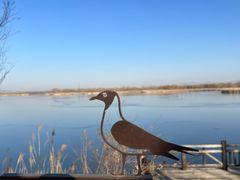 -野鸭湖国家湿地公园
