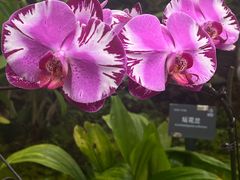 -国家植物园南园