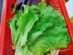 -丁记火锅·酸汤牛肉