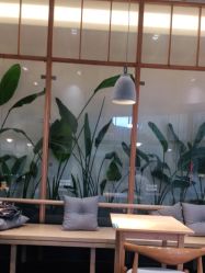 -悦诗风吟innisfree