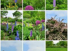 -上海辰山植物园