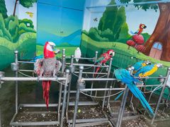 -西安秦岭野生动物园