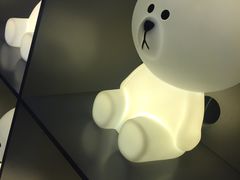 -line friends(明洞旗舰店)