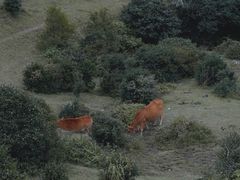 -大姆山草场