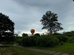 -中国科学院西双版纳热带植物园