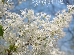 -太阳宫足球俱乐部