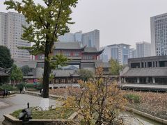 -龙潭水乡