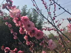 -韩湘水博园