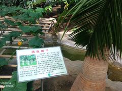 -兰陵国家农业公园