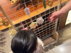 -久宴·天目湖大鱼头(恐龙园店)