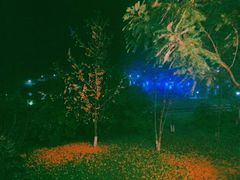 -星湖特色餐厅· 三岔湖环球融创天堂洲际酒店