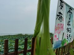 -七的湖·晚芳亭·阳澄湖农家菜·大闸蟹(莲花岛店)