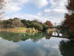 -尚贤河湿地