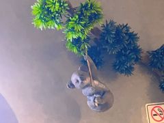 -如轩·海鲜砂锅粥·潮汕菜(沿江东路店)