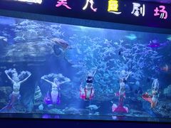 -多彩贵州城极地海洋世界